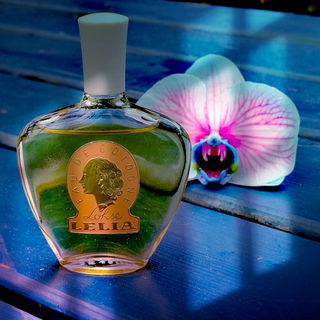 Hier zeigen sie ihr wahres Gesicht, die parfumfressenden kleinen Biesterchen:das riesen Maul, mit den messerscharfen Zähnen, die pink hinterlegten Äuglein, die süße Hundenase und die riesigen, aderdurchzogenen Elefantenöhrchen;)