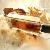 .... Herbstverwehung ........ (von IrisNobile)