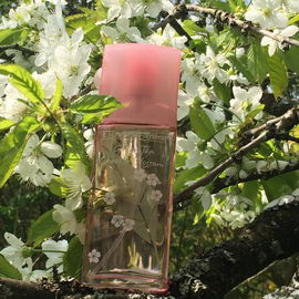 Green Tea Cherry Blossom - Elizabeth Arden