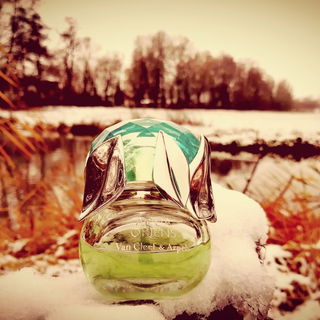 Winterimpressionen im Vilstal (Fortsetzung folgt... )