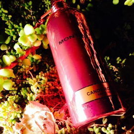 Candy Rose - Montale