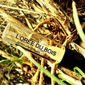 Gelbes Gestrüpp (von Floyd)