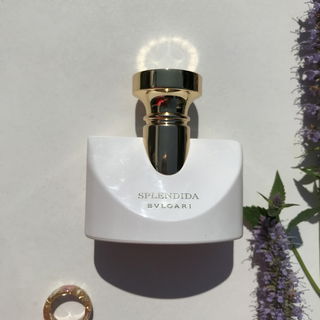 Splendida - Patchouli Tentation - Bvlgari