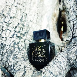 Encre Noire pour Elle - Lalique