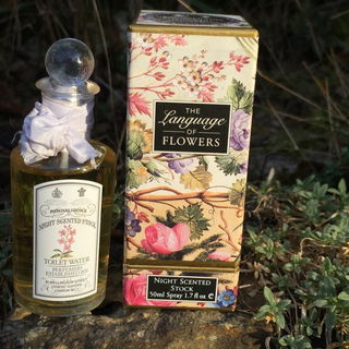 Night Scented Stock - Penhaligon's
