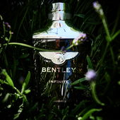 In order for the light to shine so brightly, the darkness must be present. - Francis Bacon (von NuiWhakakore)