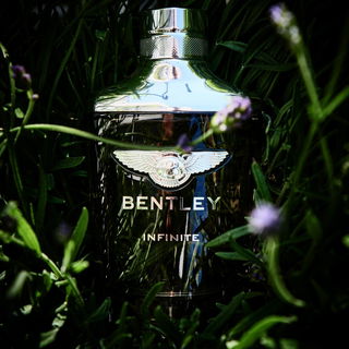 In order for the light to shine so brightly, the darkness must be present. - Francis Bacon