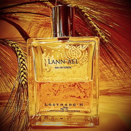 Lann-Aël - Lostmarc'h