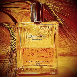 Lann-Aël - Lostmarc'h