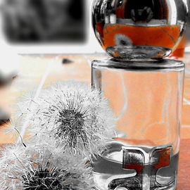 Empreinte (1971) (Eau de Toilette) - Courrèges