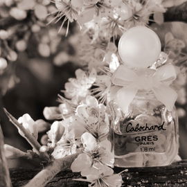 Cabochard (1959) (Parfum) - Grès
