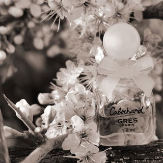 Cabochard (1959) (Parfum) - Grès