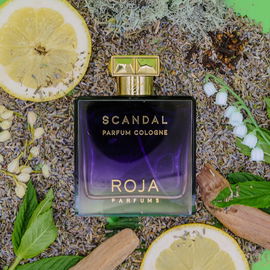 Scandal Parfum Cologne - Roja Parfums