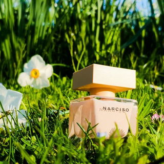 Narciso (Eau de Parfum Poudrée) von Narciso Rodriguez