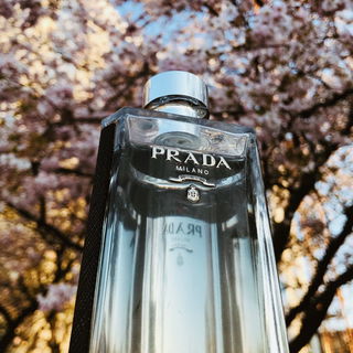 L'Homme von Prada