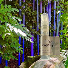 Royal Sandalwood / Royal Parvati Sandalwood (Eau de Parfum) - Ava Luxe