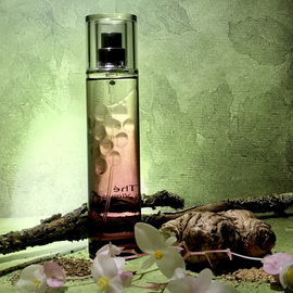 Thé des Vignes - Caudalie