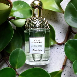 Splendid Wood - Yves Saint Laurent