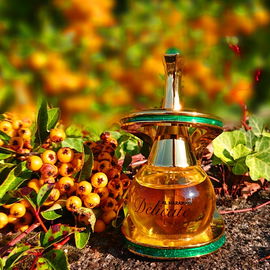 🧡🌱☀️ Goldene Herbstsonne ☀️🌱🧡 Herzlichen Dank Euch allen 🧡