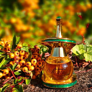 🧡🌱☀️ Goldene Herbstsonne ☀️🌱🧡 Herzlichen Dank Euch allen 🧡