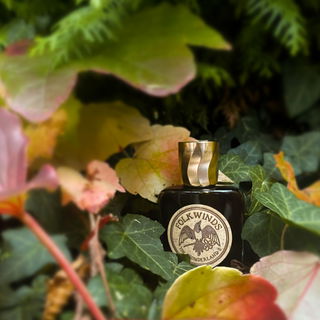 The Wonderland II by Folkwinds