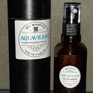 Aquavilion by Mr Masey's