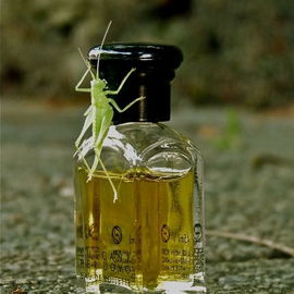 Tuscany per Uomo / Etruscan (Eau de Toilette) - Aramis