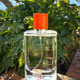 Vibrant Leather Éclat de Bergamote by Zara