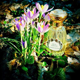 Quel Amour! - Goutal