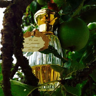 Ce Soir ou Jamais (Eau de Parfum) - Goutal