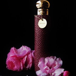Bellodgia (Eau de Toilette) - Caron