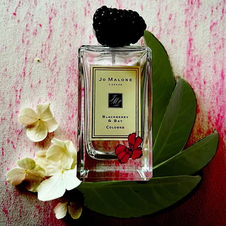 Blackberry & Bay (Cologne) - Jo Malone