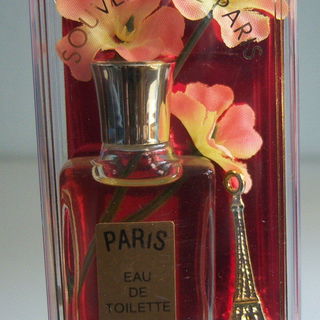 Souvenir de Paris - Paris - Crès