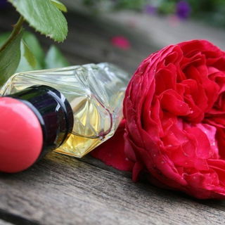 In meinem Garten aufgenommen :-)