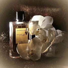 Orchidée Vanille - Van Cleef & Arpels