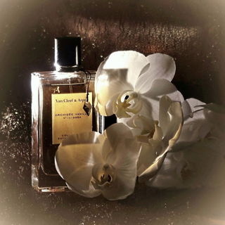 Orchidée Vanille - Van Cleef & Arpels