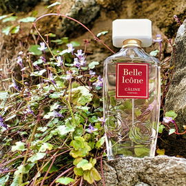 Belle Icône - Câline
