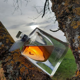 La Vie est Belle L'Eau de Parfum by Lancôme