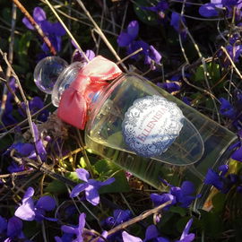 Ellenisia - Penhaligon's