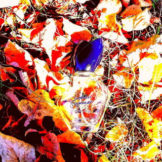 Indian Summer (Eau de Toilette) - Priscilla Presley