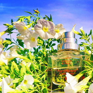 🌿 Blütenweiß 🌿