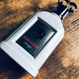 Stallion - Zimaya