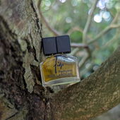 ༺✵༻ einmal hoch hinaus ༺✵༻ ich danke Euch für Eure wertschätzenden Worte ༺✵༻ Euer Besuch freut mich wie immer sehr ༺✵༻ (von Flughörnchen)