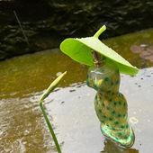 Singing in the Rain (by BeJot)