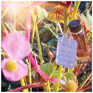 Mortal. Peak readiness. Generous. Sultry, voluptuous, lush. Transformative. Seeds for the earth.  Chewy fruit leather. Plentitude. (Ananda Wilson)