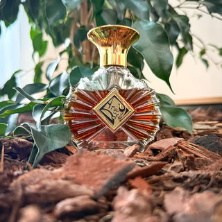 Beauty and the Beast - Areej Le Doré