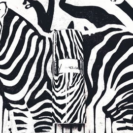 Dolce & Gabbana - By Man (1998) | the rare Zebra