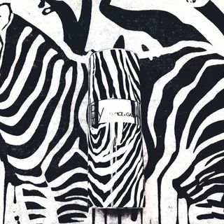 Dolce & Gabbana - By Man (1998) | the rare Zebra