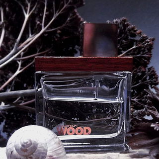 She Wood Velvet Forest Wood - Dsquared²