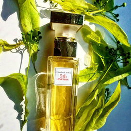 5th Avenue (Eau de Parfum)